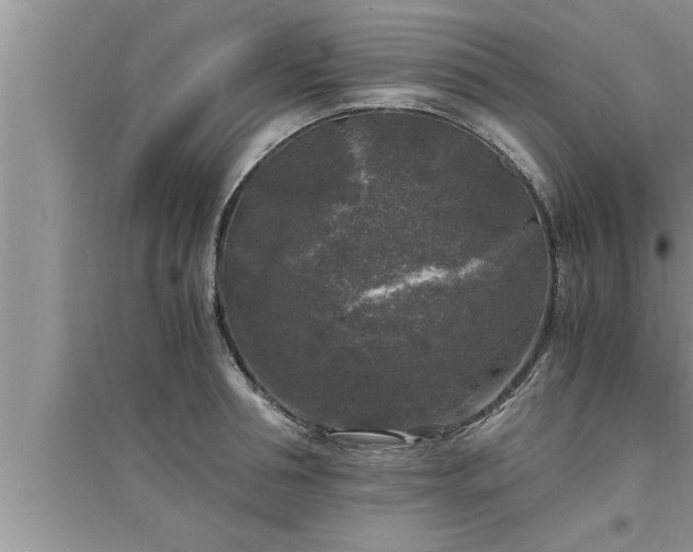 X0000095520994200712211259