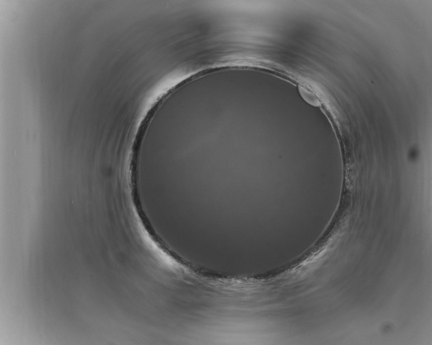 X0000095520995200712211259