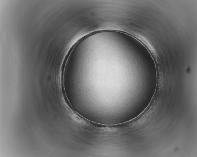 X0000095520996200712211259