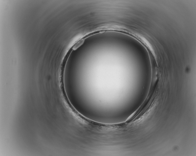 X0000095520997200712211259