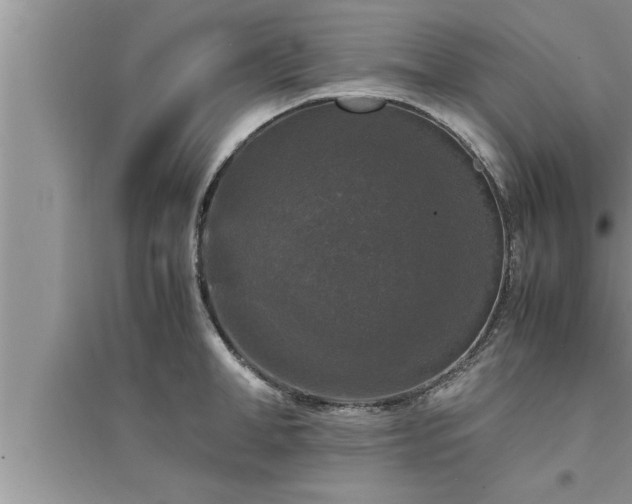 X0000095520998200712211259