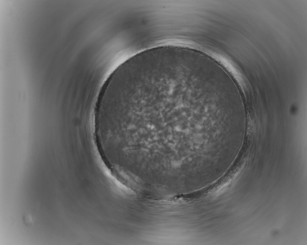 X0000095520999200712211259