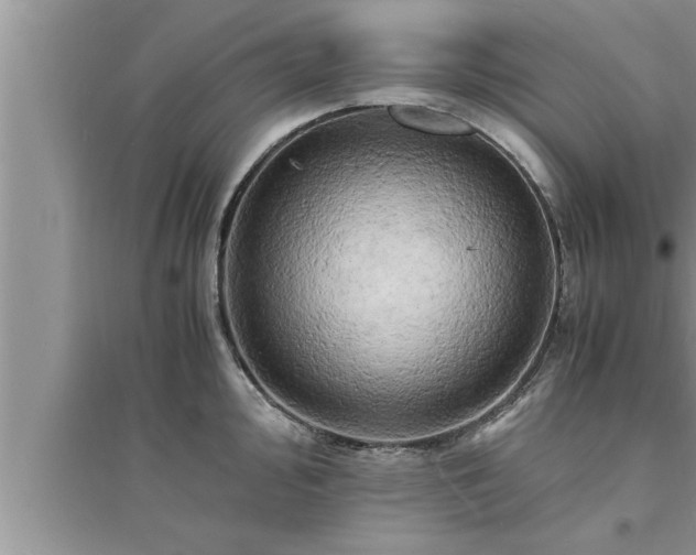 X0000095521000200712211259