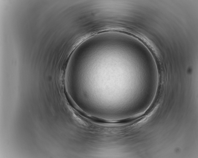 X0000095521001200712211259