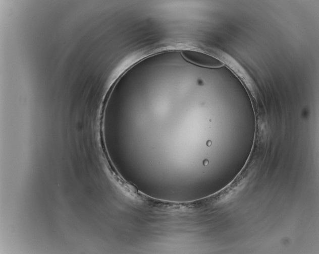 X0000095521002200712211259