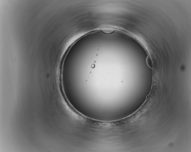 X0000095521003200712211259