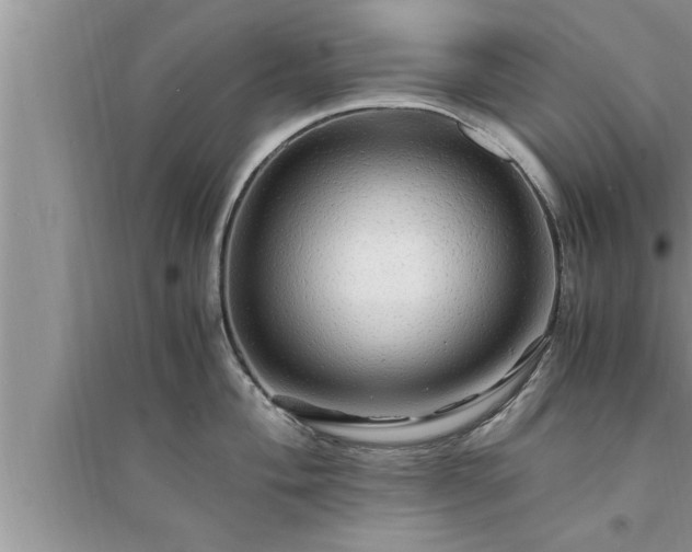 X0000095521004200712211259