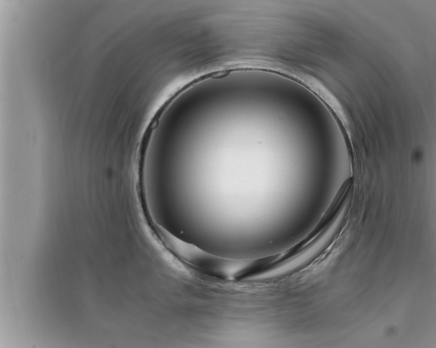 X0000095521005200712211259