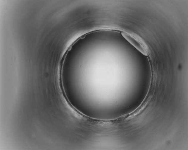 X0000095521006200712211258