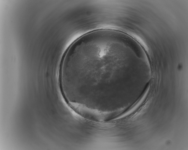 X0000095521007200712211258