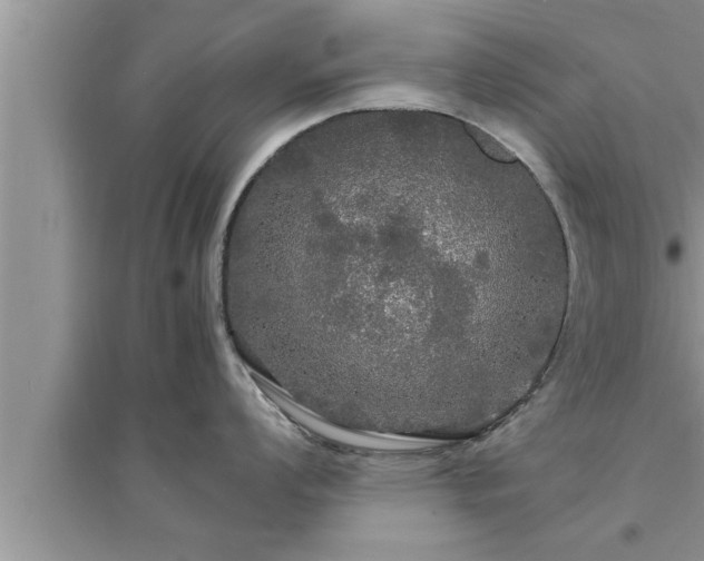 X0000095521008200712211258