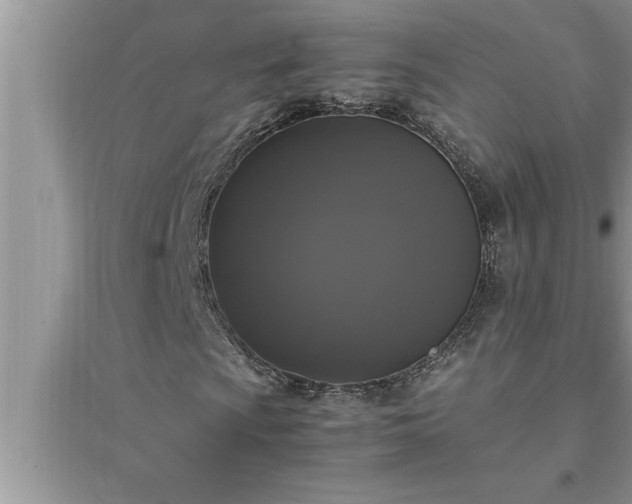 X0000095521009200712211258