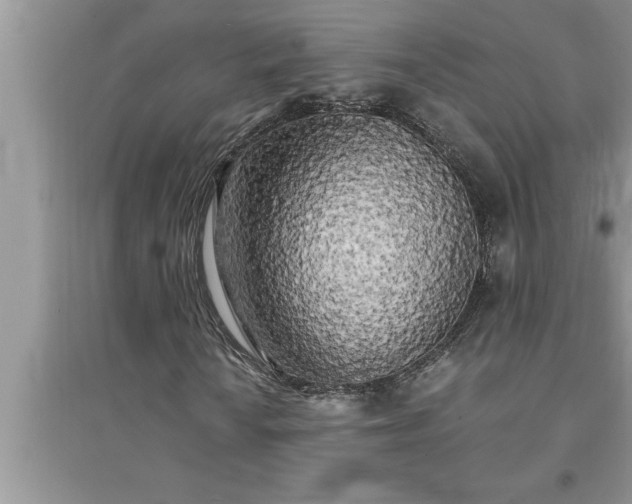 X0000095521010200712211258