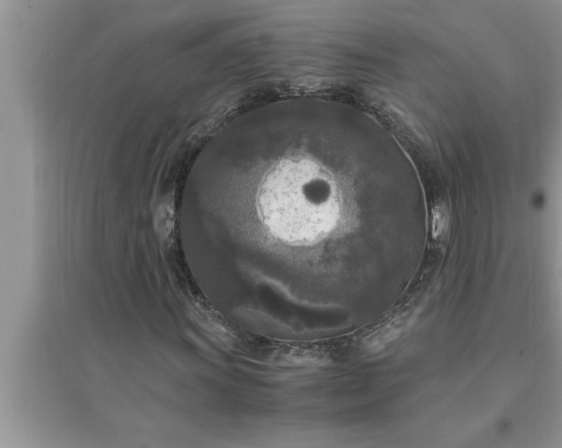 X0000095521011200712211258