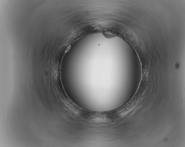 X0000095521012200712211258