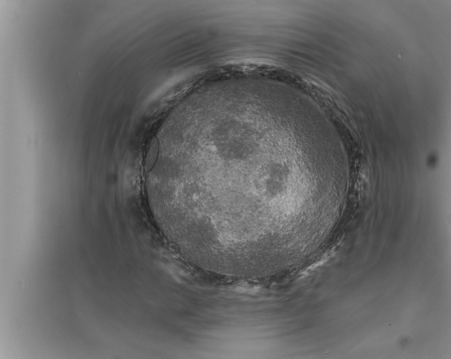 X0000095521014200712211258