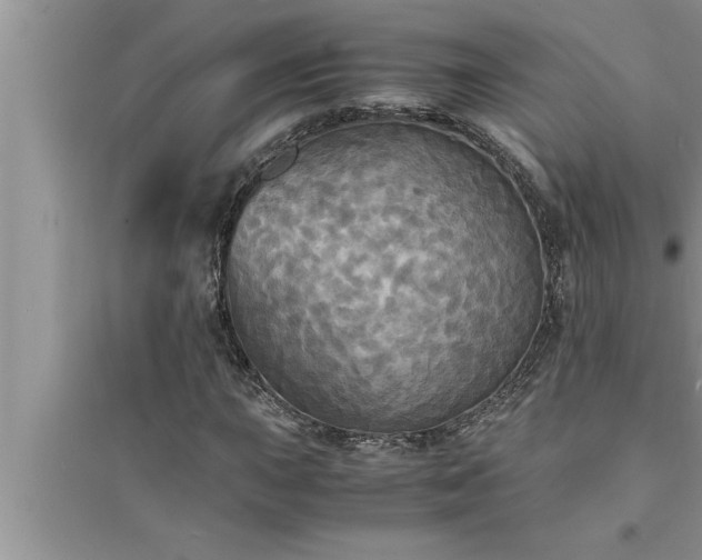 X0000095521015200712211258