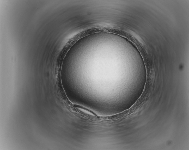 X0000095521016200712211258