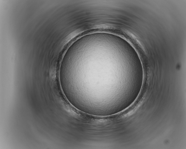 X0000095521017200712211258