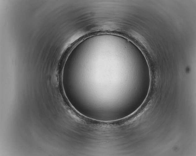 X0000095521018200712211258