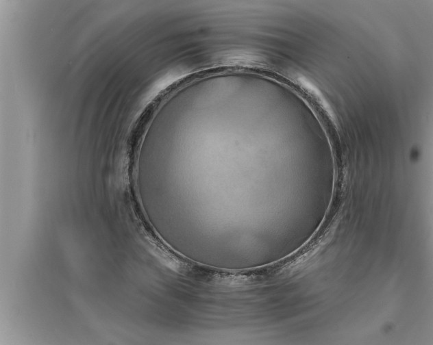 X0000095521019200712211258