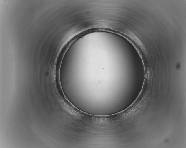 X0000095521020200712211258