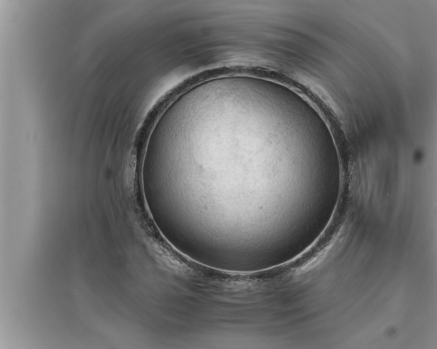 X0000095521021200712211258