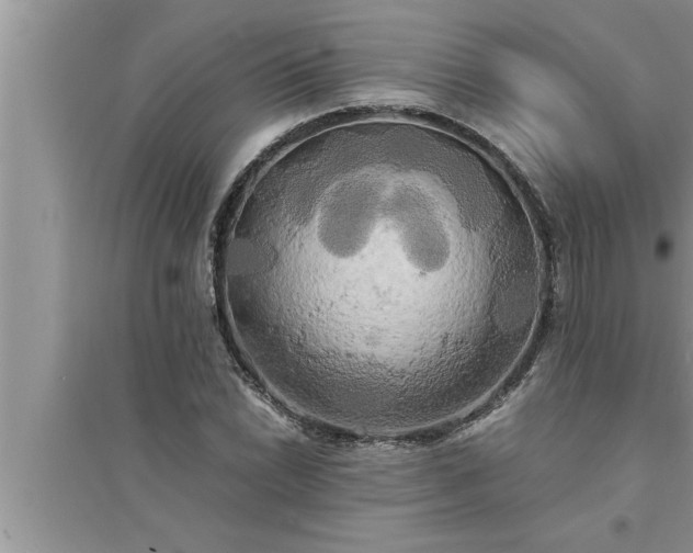 X0000095521022200712211258