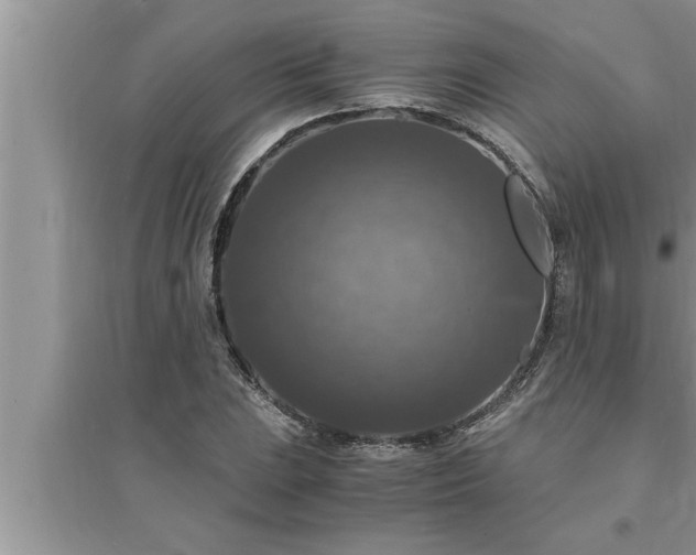 X0000095521023200712211258