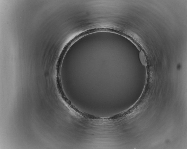 X0000095521024200712211258