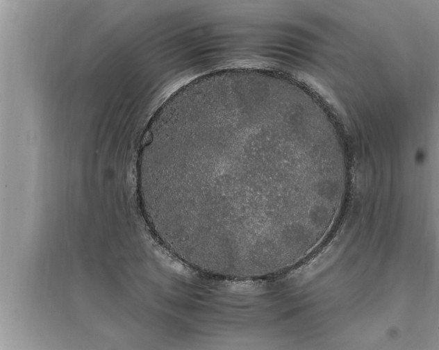 X0000095521025200712211258