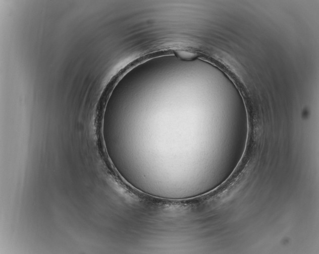 X0000095521026200712211258