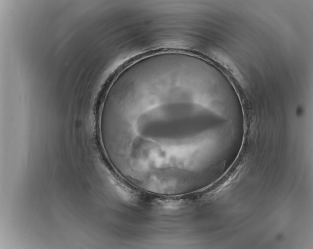 X0000095521027200712211258