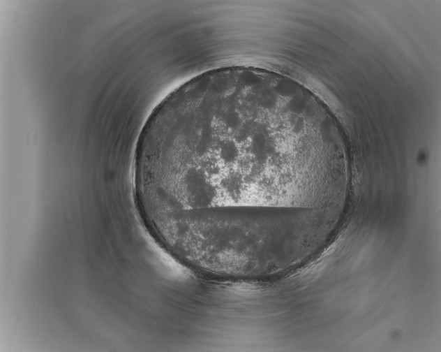 X0000095521028200712211258