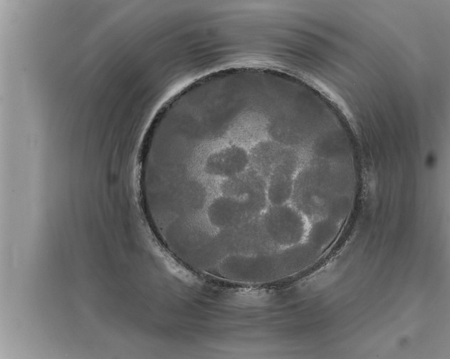 X0000095521029200712211258