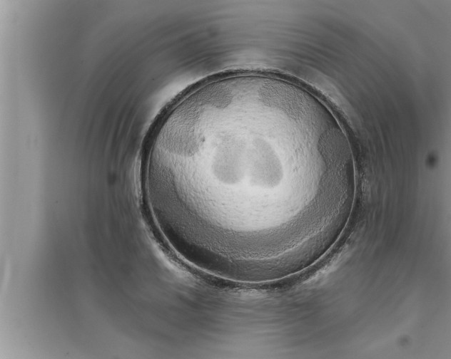 X0000095521030200712211258