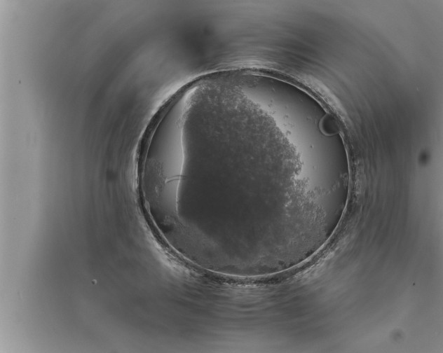 X0000095521031200712211258