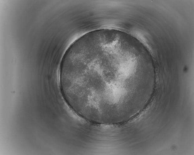 X0000095521032200712211258