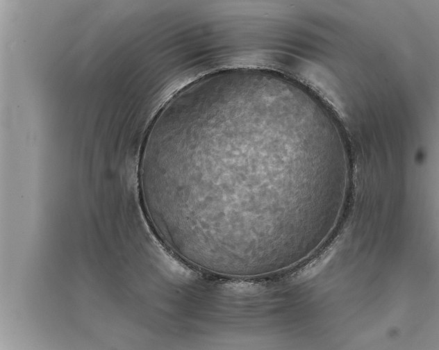 X0000095521033200712211258