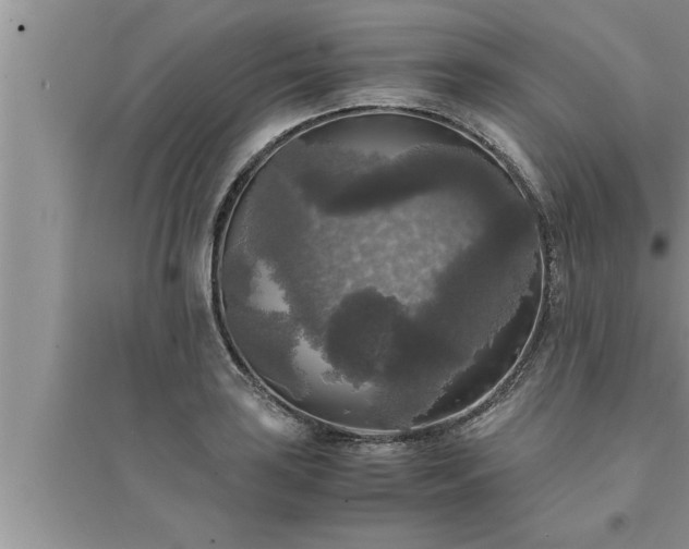 X0000095521035200712211258