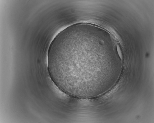 X0000095521036200712211258