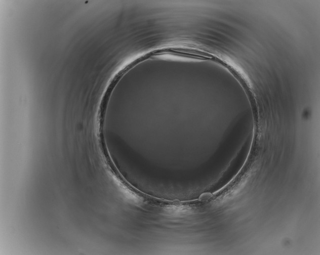 X0000095521037200712211258