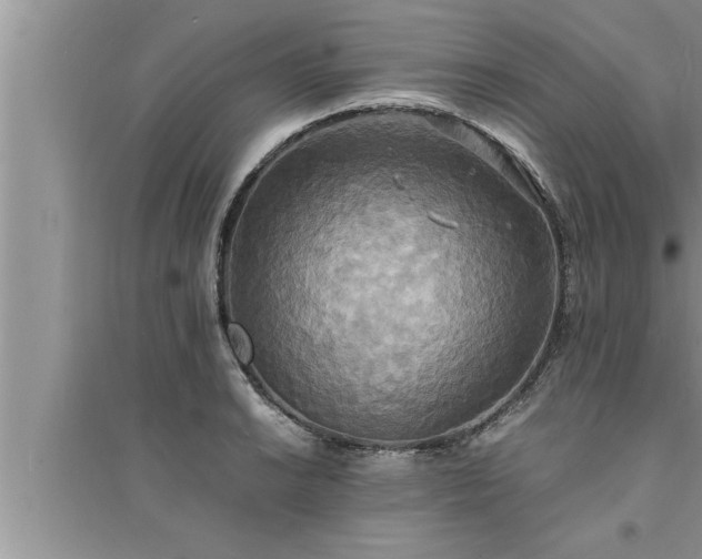 X0000095521038200712211258