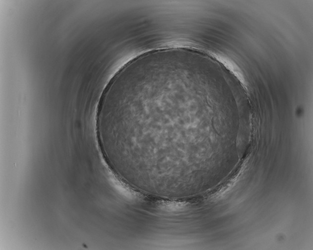 X0000095521039200712211258