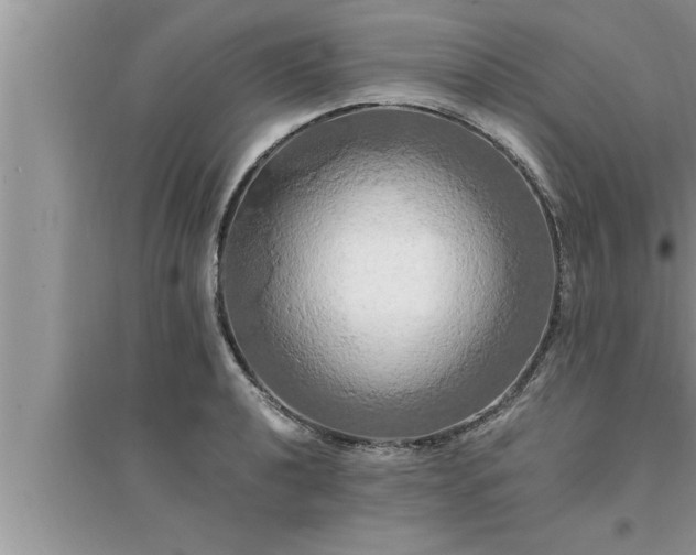 X0000095521040200712211258