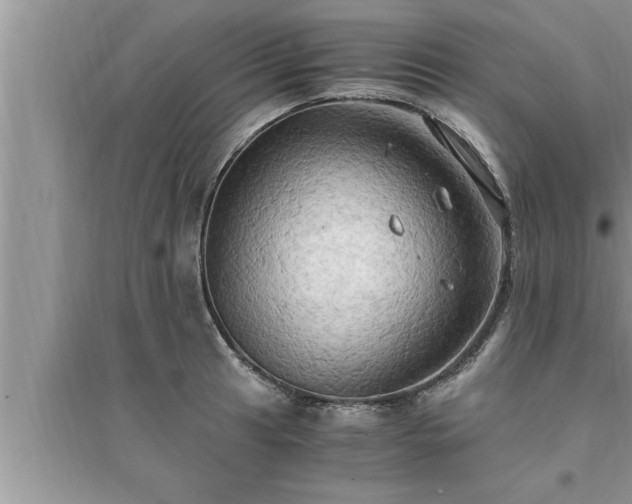 X0000095521041200712211258