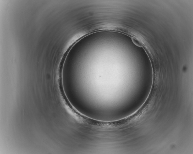 X0000095521042200712211258