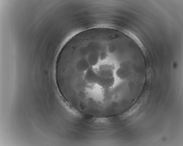 X0000095521043200712211258