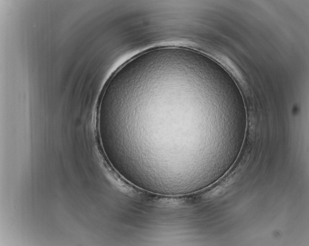 X0000095521044200712211258