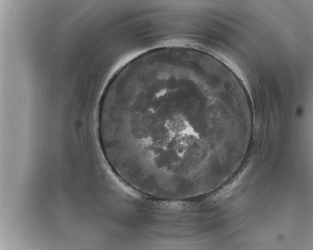 X0000095521045200712211258